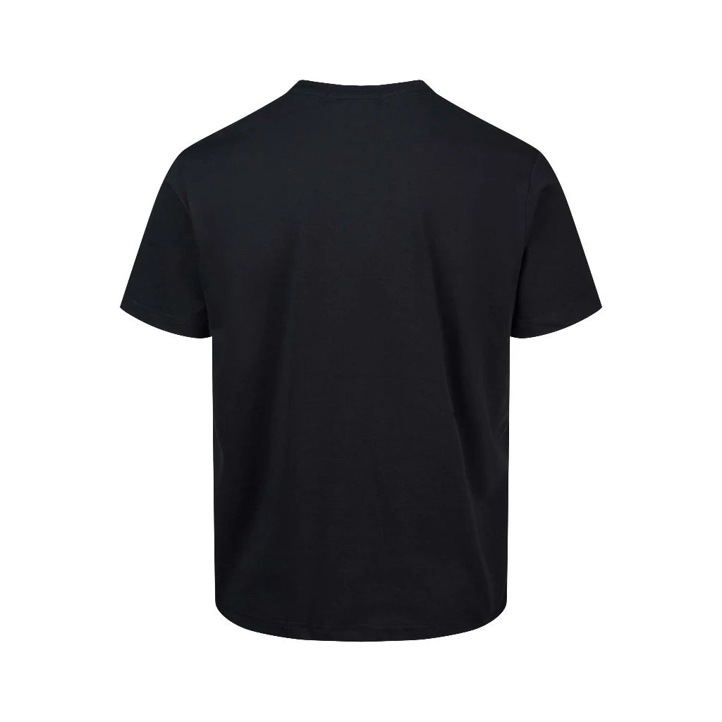 THE RUINED EMBLEM TSHIRT